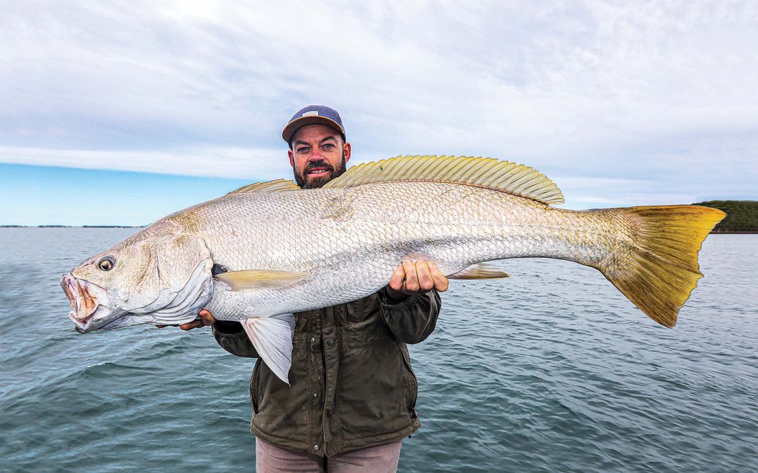 Mulloway Species Guide